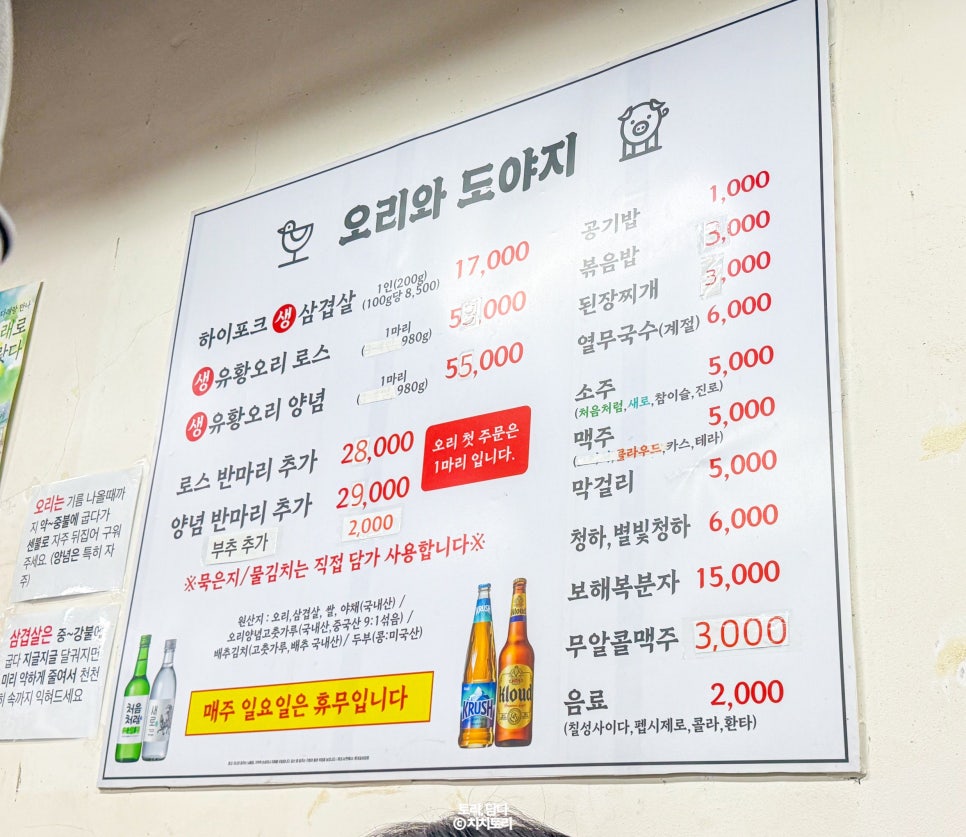 오리와 도야지 사진 2