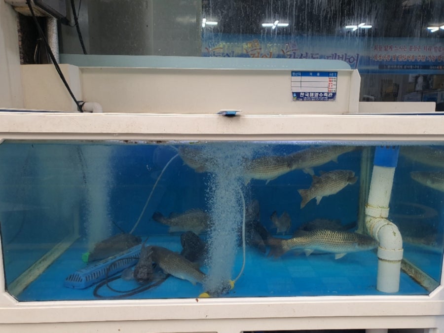 구서도매횟집 사진 2