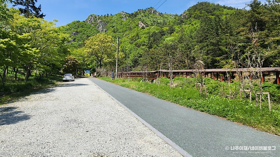 라온테이블 사진 4