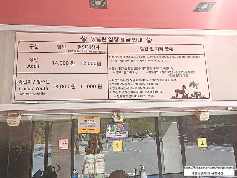 사진 5