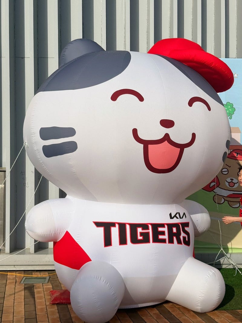 26.04.24 광주 기아챔피언스필드 기아롯데전 직관 후기 l 빈지노 시구