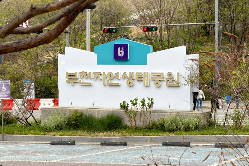 사진 6