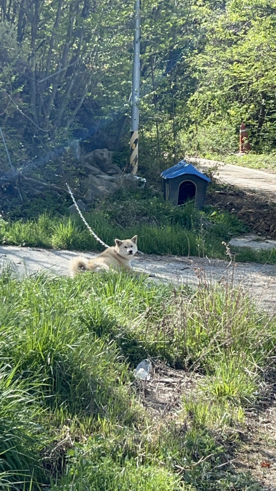 백운동순대 사진 5