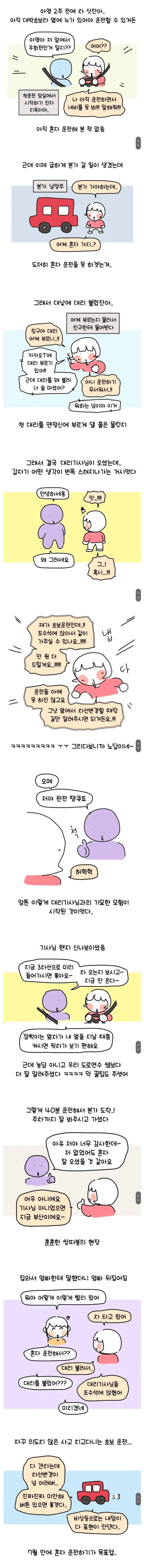  대낮에 맨정신으로 대리기사 부른 썰.manhwa