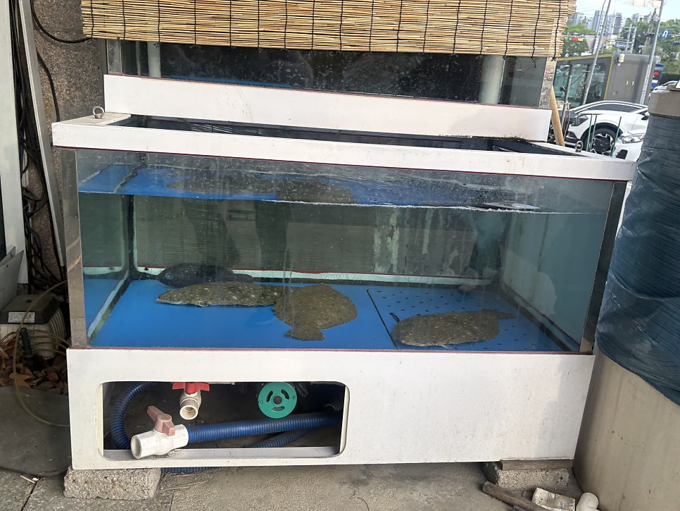 어쩌다횟집 사진 2