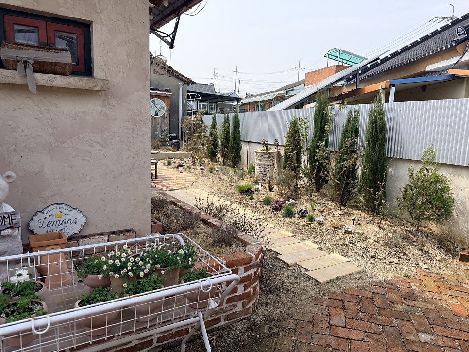 스윗로즈 사진 4