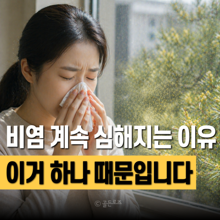  왜 봄만 되면 코막힘 심해질까… 송화가루 날리는 시기 "이걸 바꾸니" 비염 확 달라졌습니다