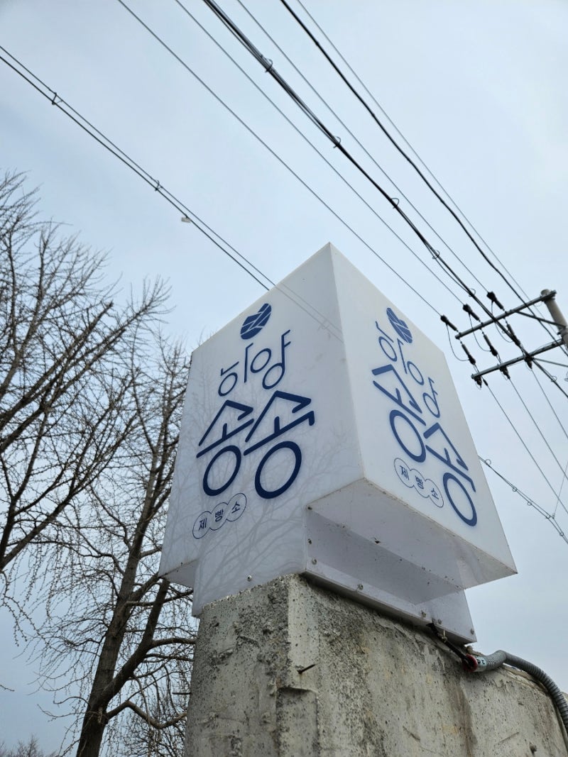 사진 3