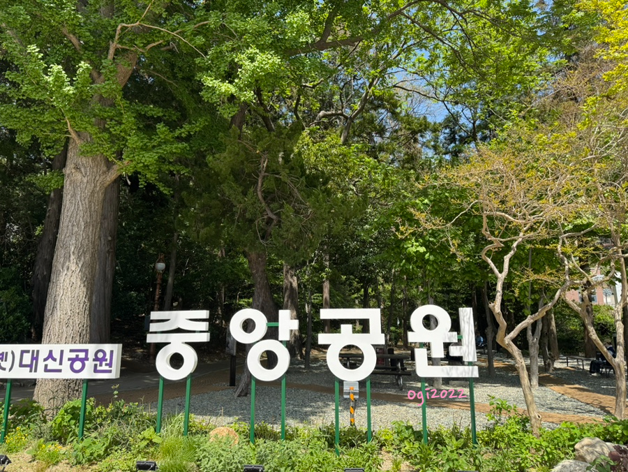 대신육전밀면 사진 1