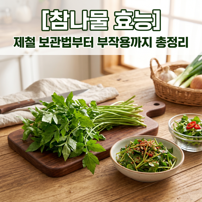 참나물 효능 제철 보관법부터 부작용까지 총정리
