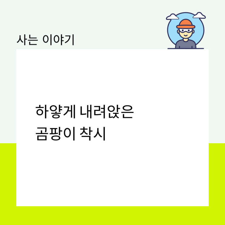  하얗게 내려앉은 곰팡이 착시