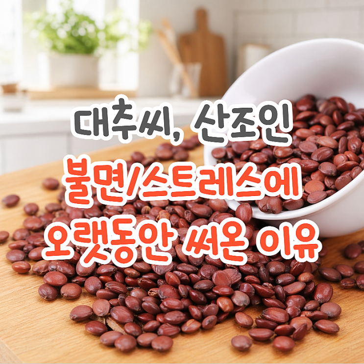  산조인 산조인차 효능 일반대추씨랑 다른 점
