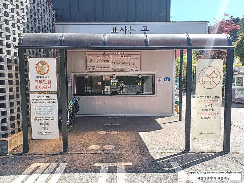 사진 4