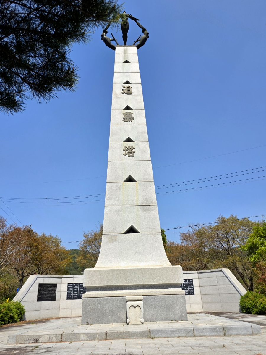 허브와야채 사진 6