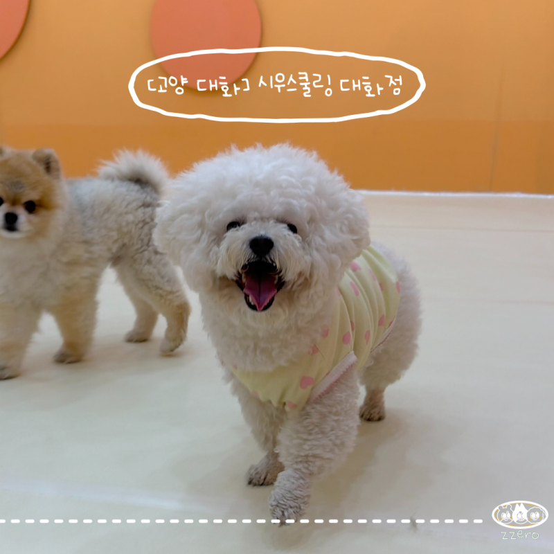 사진 3