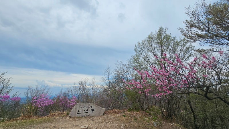 전북 정읍 내장산 신선봉(763m)최단코스. 대가저수지-신선봉-원점회귀. 총 2시간30분. 0419.