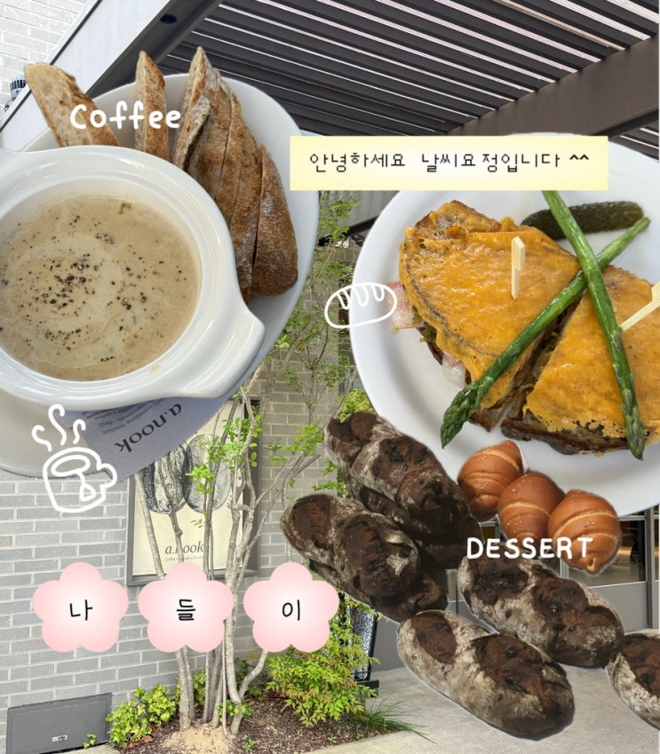  대구 만촌동 브런치 카페 추천 | 아눅 만촌점 테라스에서 힐링하고 온 솔직 후기