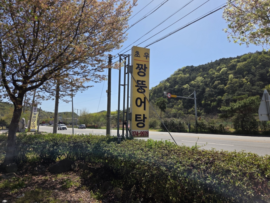 초우 사진 3