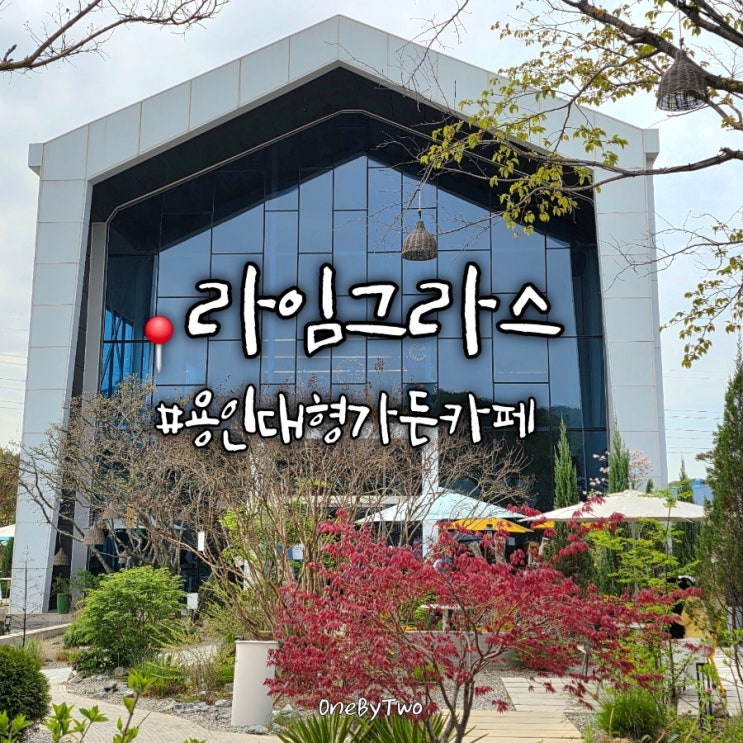  용인 대형카페 라임그라스, 5000평 규모 처인구 양지카페 추천
