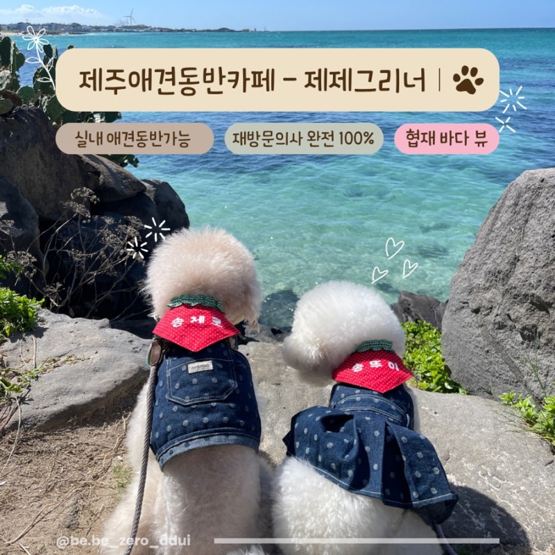 사진 3