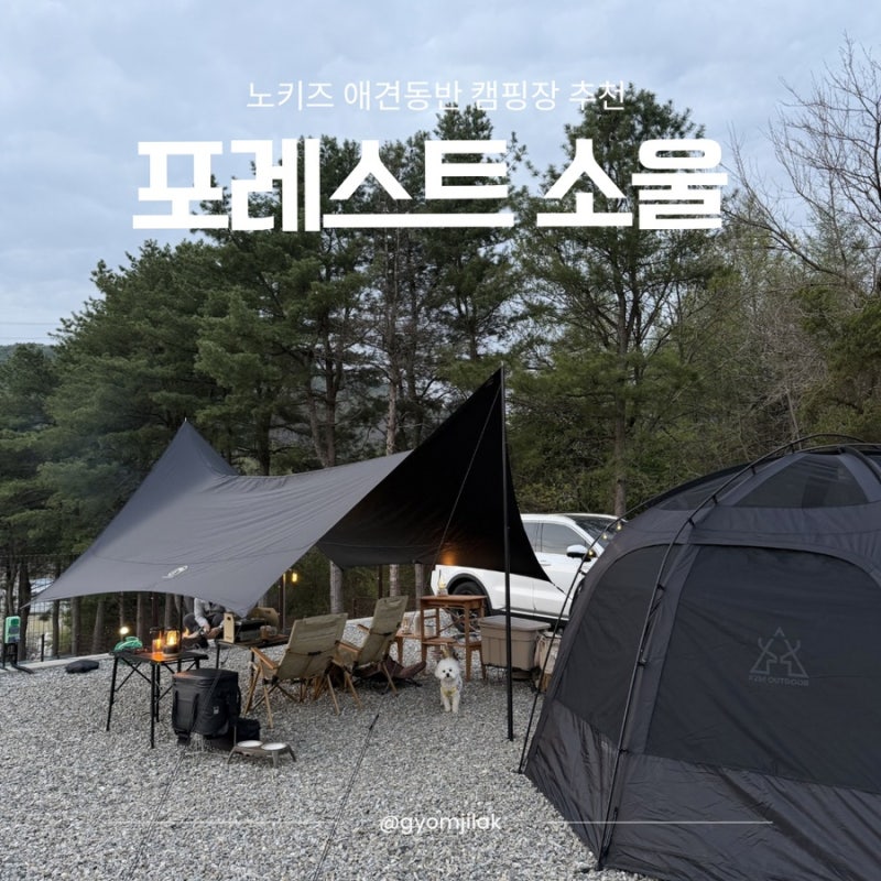 사진 4