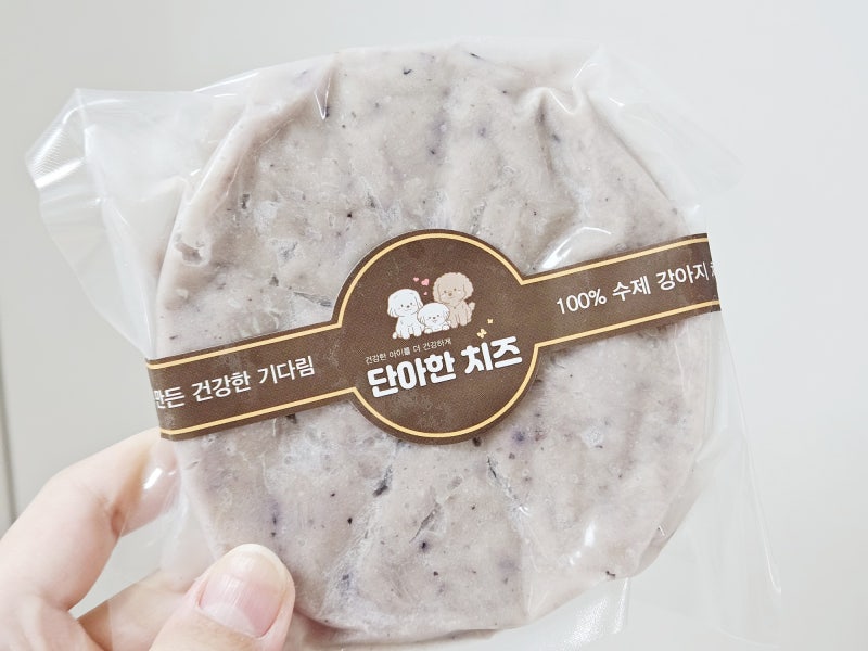 사진 2