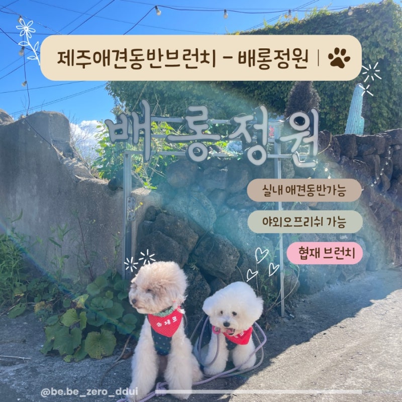 사진 6