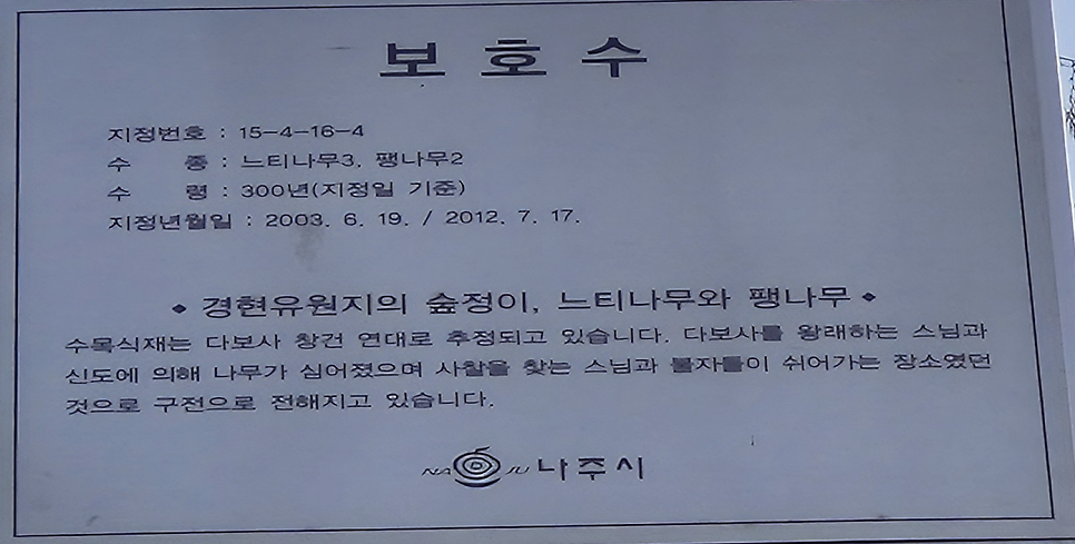 거북이 사진 6
