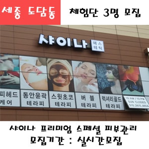 세종 도담동 샤이나 프리미엄 스페셜 얼굴피부관리 이용권