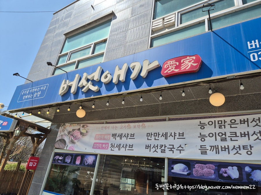 버섯애가 사진 2