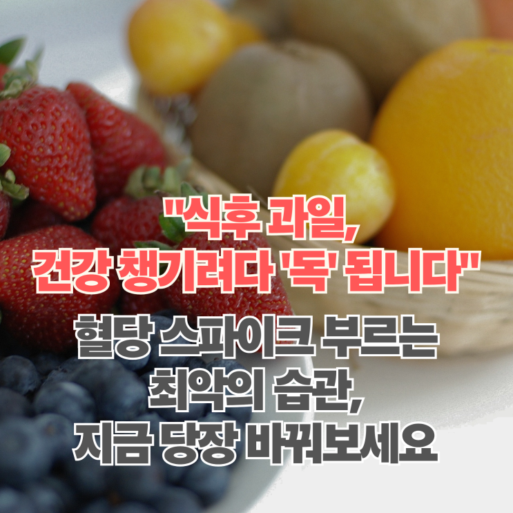  "식후 과일이 독이 된다?" 거꾸로 식사법으로 혈당 스파이크 막고 살 빼는 법