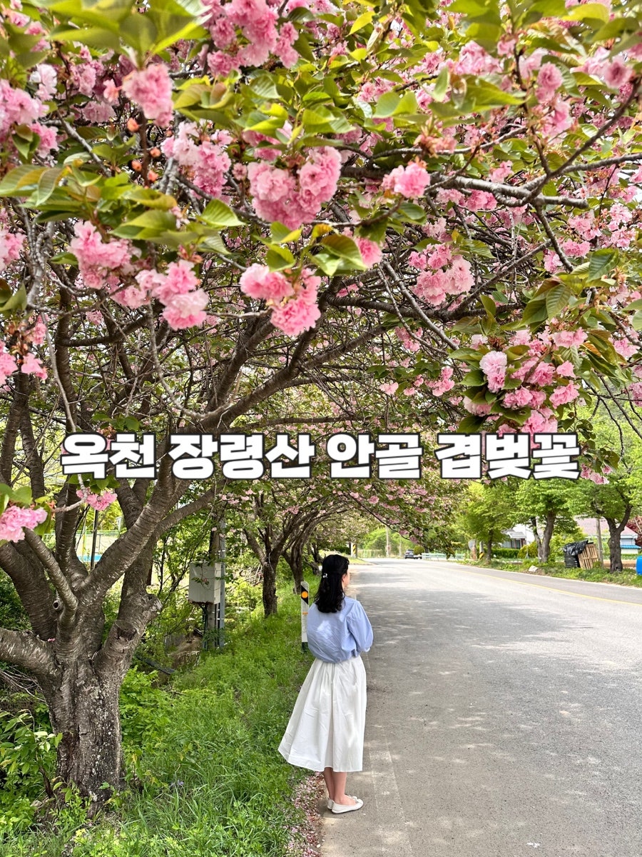안골 사진 1
