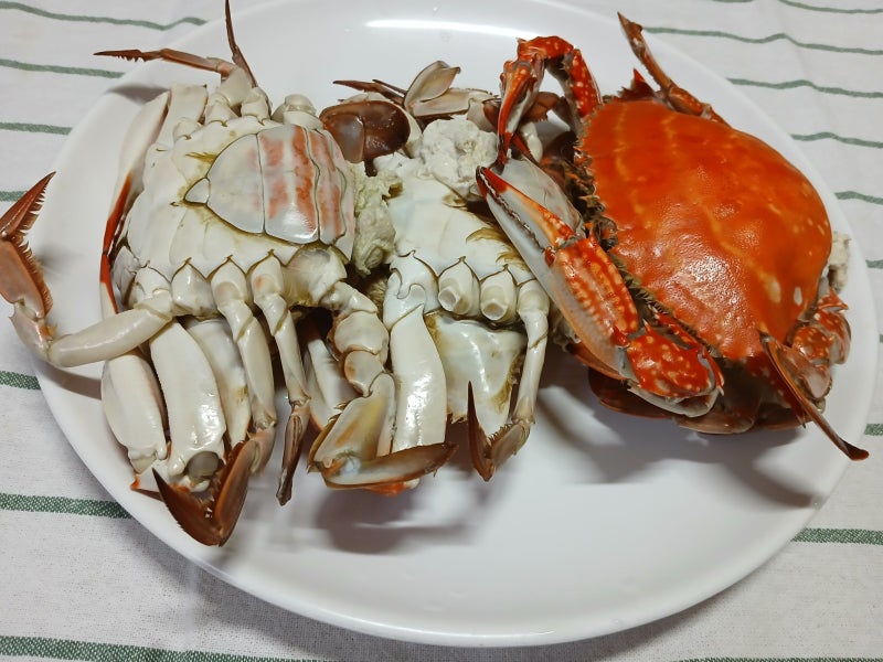 꽃게 요리 꽃게찜 레시피 생물 봄 꽃게 맛있게 찌는 법 꽃게 손질법과 꽃게찜 찌는 시간 & 먹....