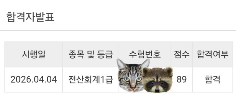 전산회계 1급 89점, ERP 회계 2급 97.5점 합격자의 시험 준비 기록