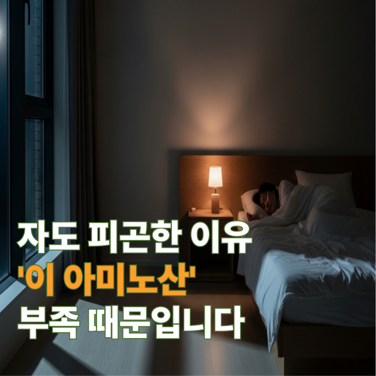  글리신 효능 부작용 섭취방법 총정리 l 수면·피부 핵심 성분