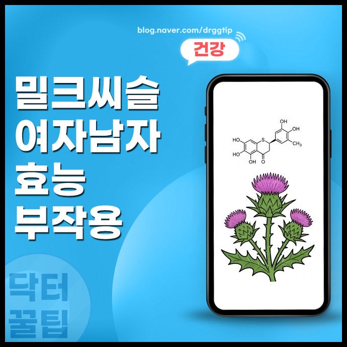 밀크씨슬 효능 여자 남자 효과 복용시간 및 부작용 정리