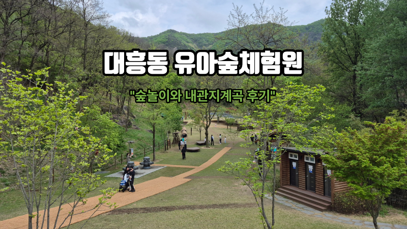 대구 아이랑 가볼만한곳 대흥동 유아숲체험원 숲놀이 후기 내관지 계곡까지