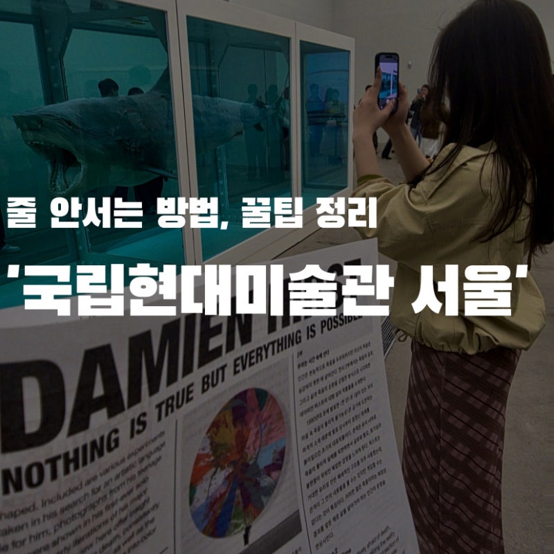 [국립현대미술관 서울관]줄 안서는 방법, 꿀팁 정리, 데이미언 허스트, 예약 바로가기