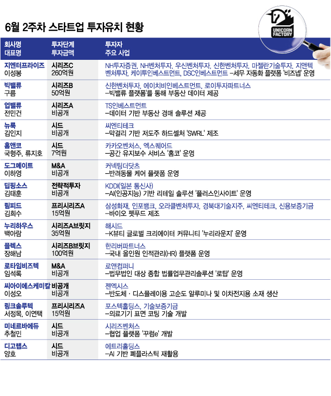시드물 사진 3