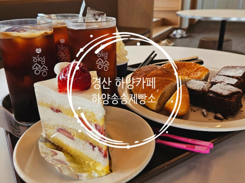 사진 4