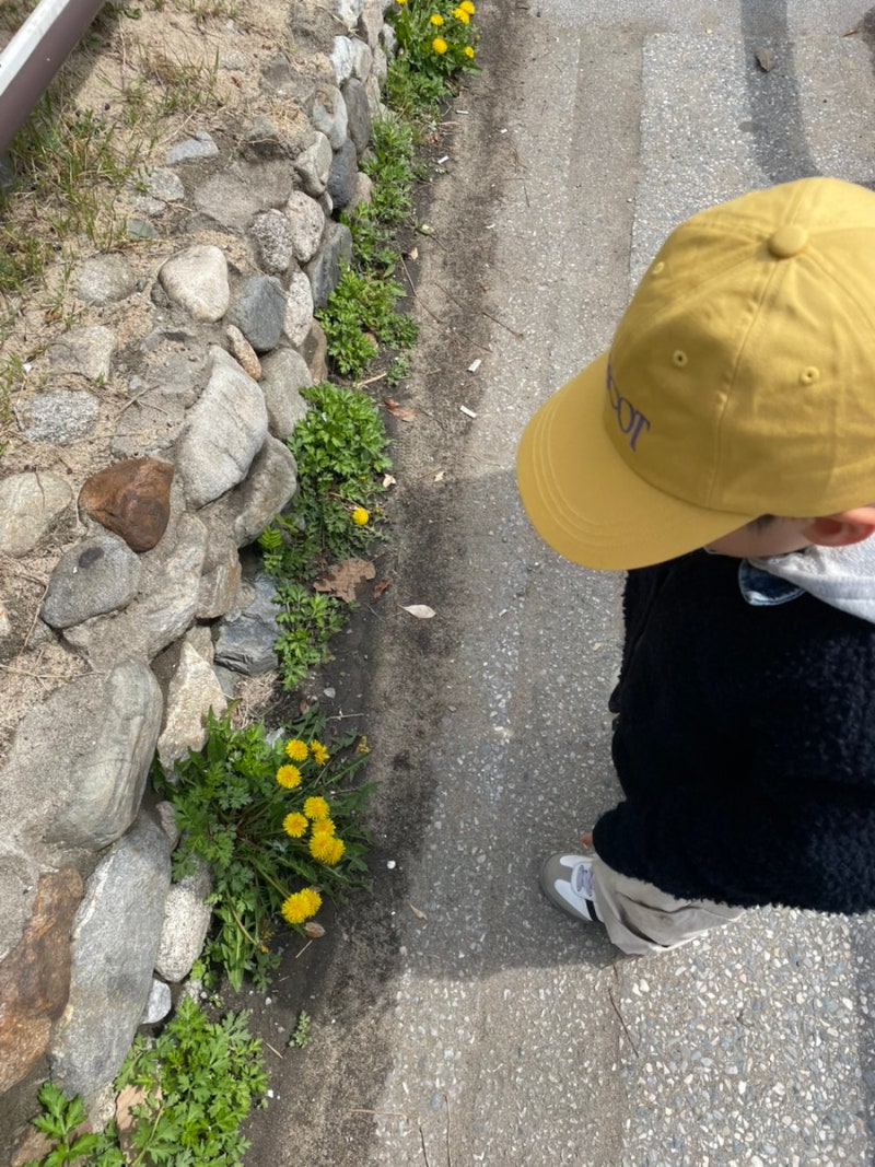 사진 2