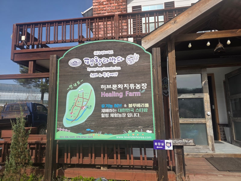 사진 8