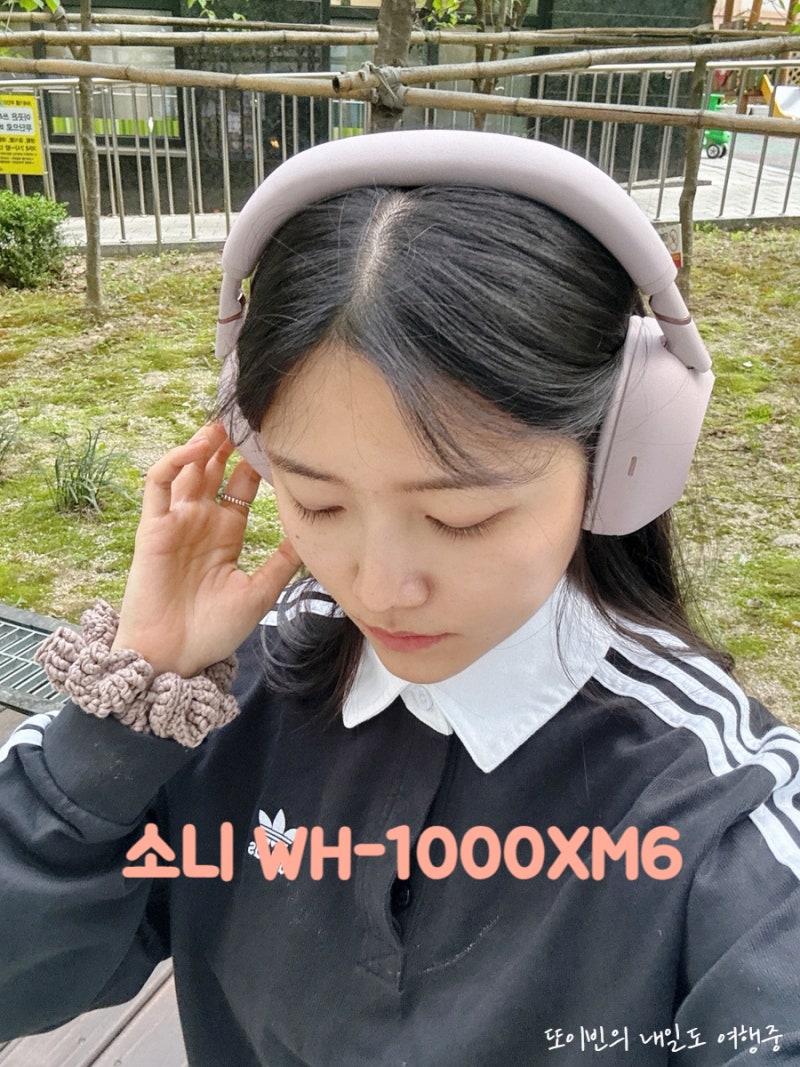 소니 WH-1000XM6 샌드 핑크 리뷰 노이즈 캔슬링 헤드폰 여행 추천템