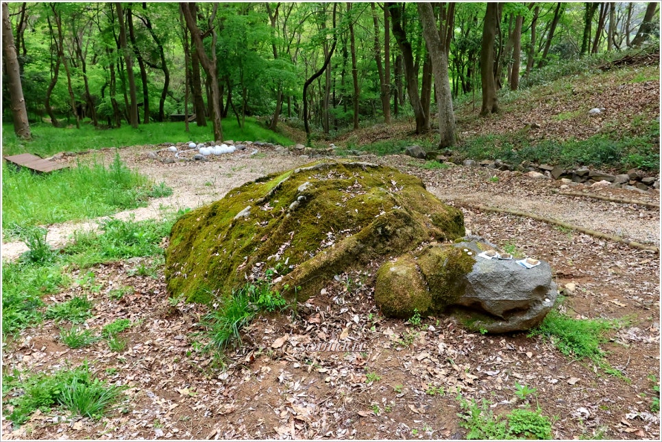 개천산 사진 6