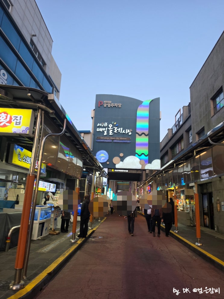  서귀포 매일 올레시장 공영주차장 이용 및 제주도 먹거리 야시장 맛집 투어 총정리