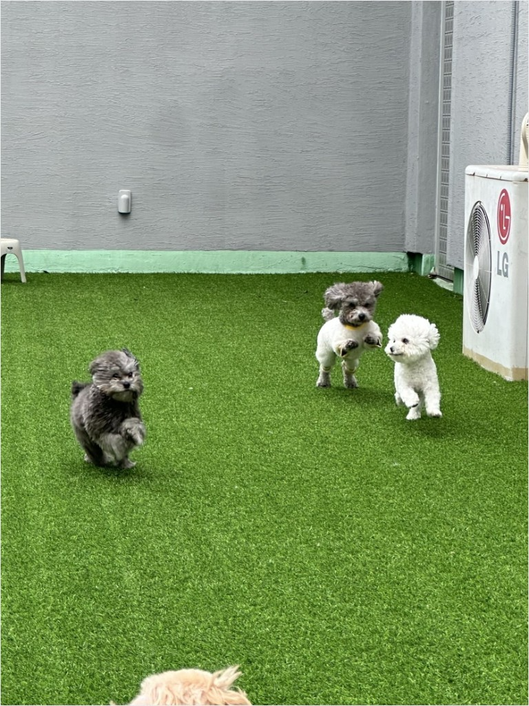 사진 5
