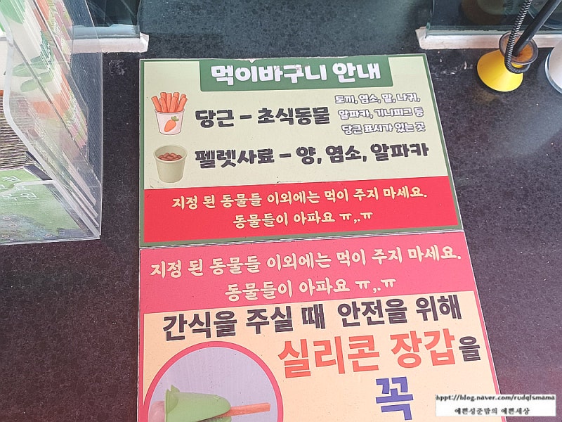 사진 6