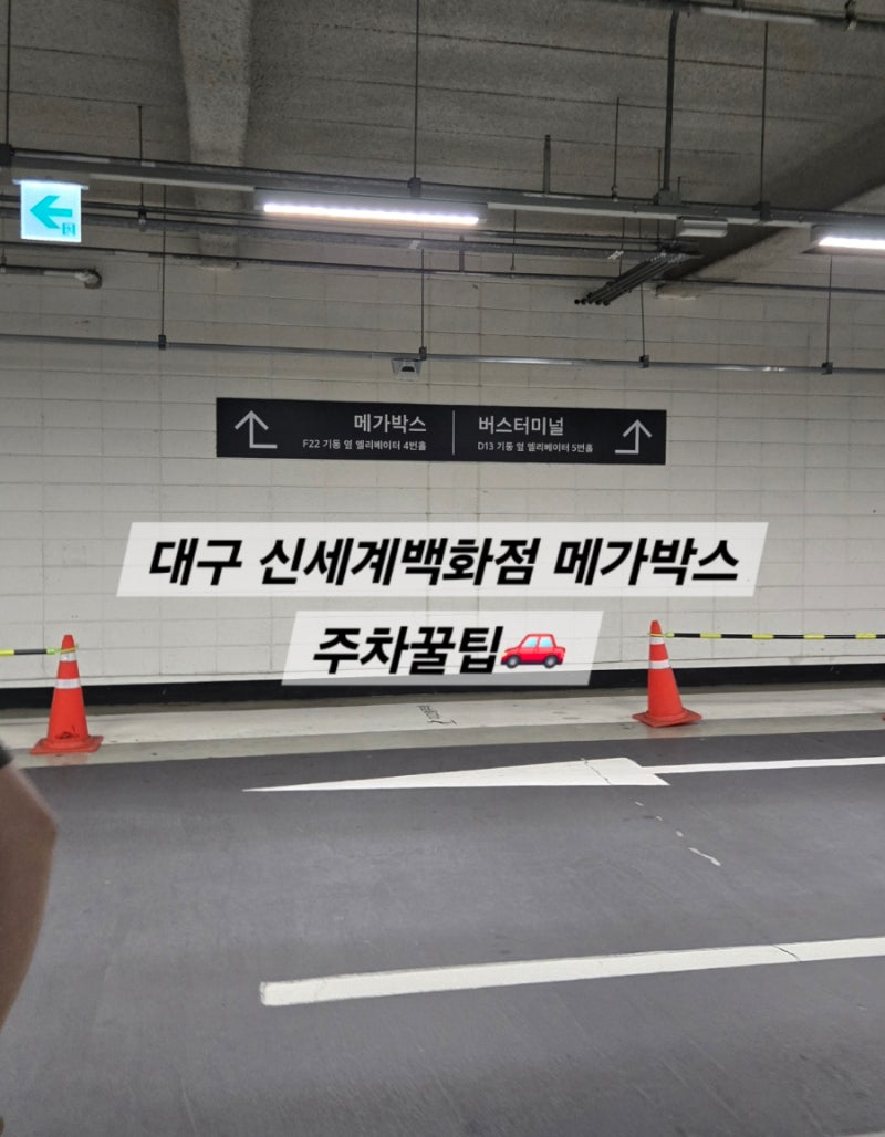 대구 신세계백화점 메가박스 주차 꿀팁('왕과 사는 남자' 관람)