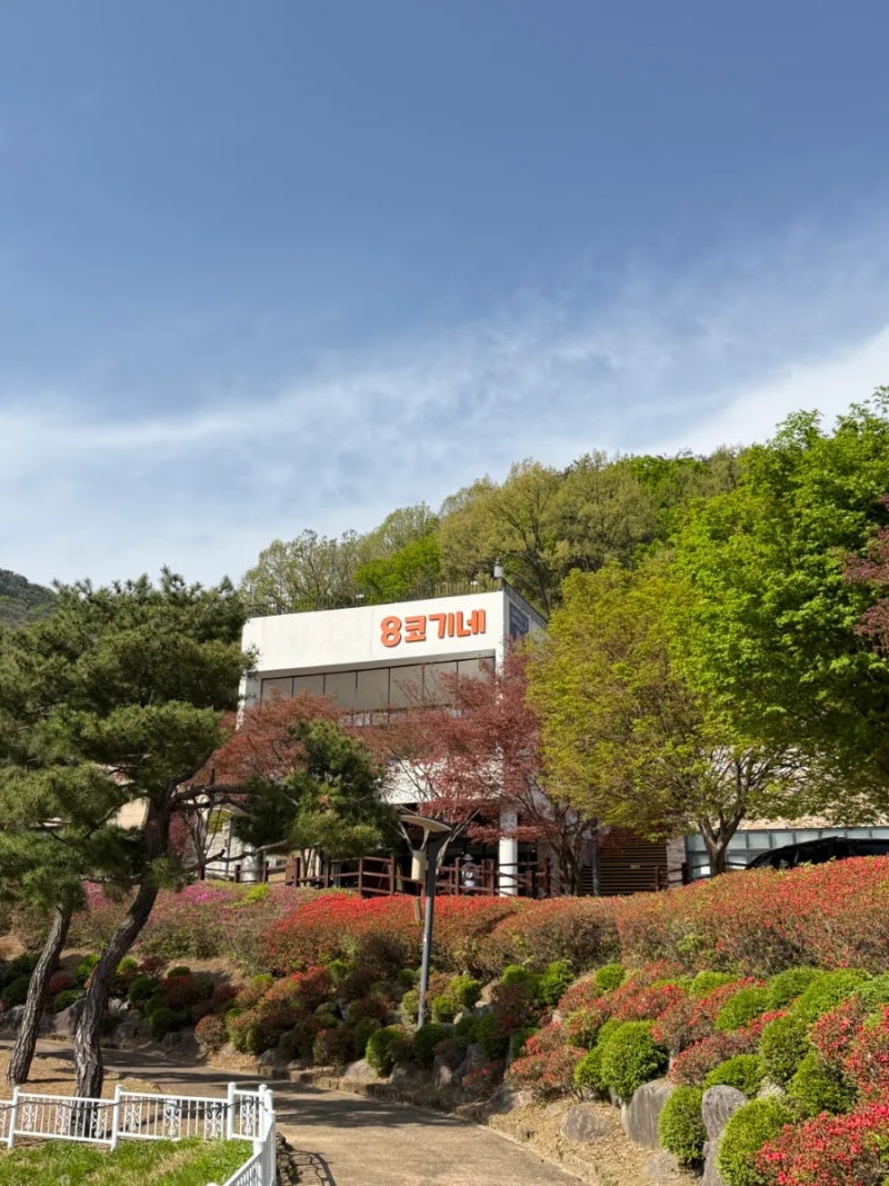 사진 5