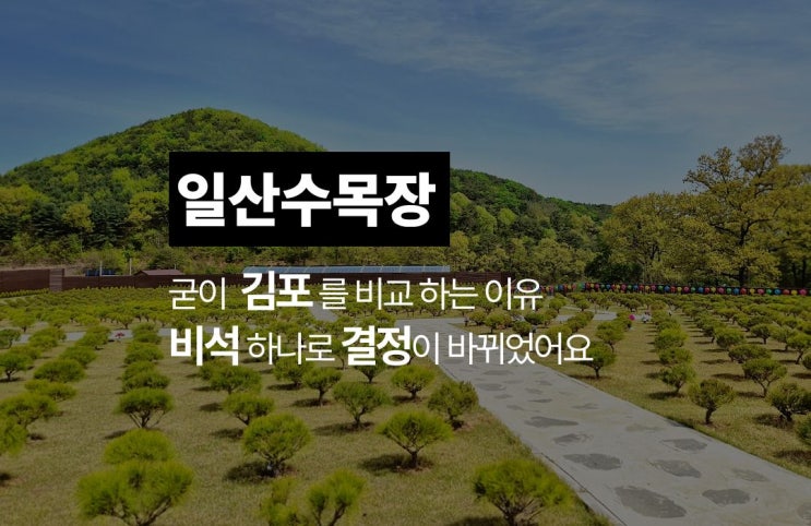  일산 수목장 찾다가 김포를 선택한 이유